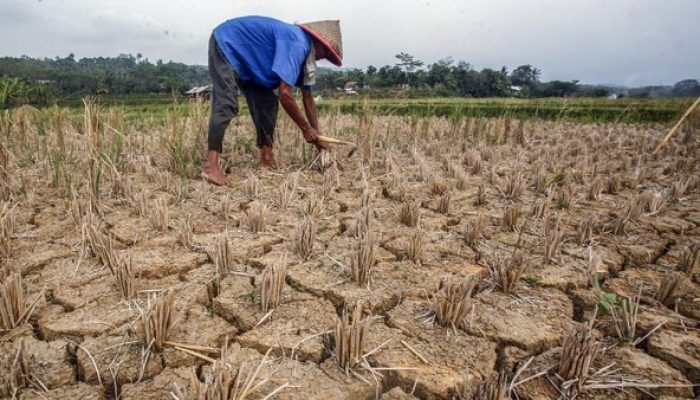 Ekonomi Konawe Kepulauan Terancam, Investasi Dinilai Jadi Solusi Mendesak