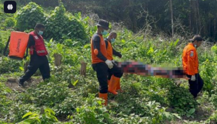 Hilang Saat Berkebun di Buton, Pria 31 Tahun Ditemukan Meninggal Setelah Sepekan Pencarian