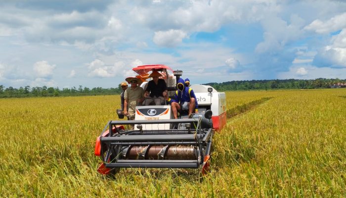 2026, Distanak Sultra Pacu Target 1 Juta Ton, Momentum Sukses Produktivitas Gapoktan Mepokoaso