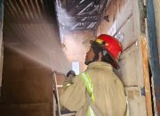 Api Hanguskan 4 Kamar Kos di Kambu Kendari, Damkar Rekomendasikan Cek Instalasi Listrik