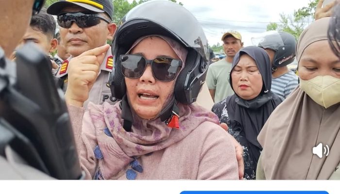 Desak Gubernur ASR Berantas Mafia Tanah, Warganet Tuntut Keadilan untuk Masyarakat di Tapak Kuda