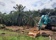 Ancaman Nusron Wahid Dijawab Rapor Merah Sawit Kaltim