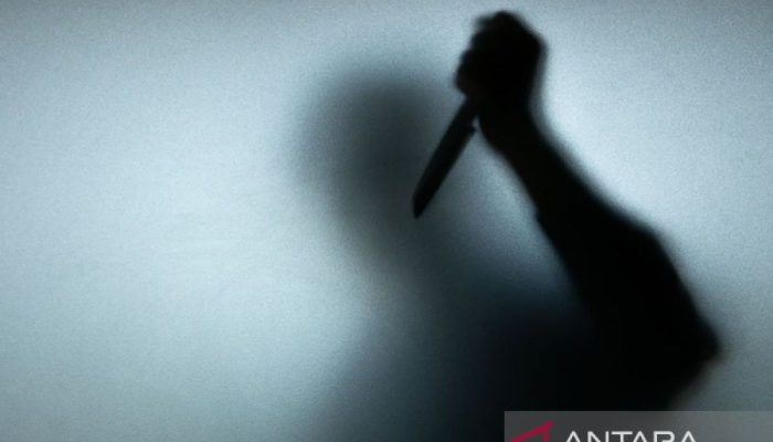 Bermain Ponsel di Teras Rumah, Anak 12 Tahun di Batalaiworu Muna Jadi Korban Penyerangan Sajam