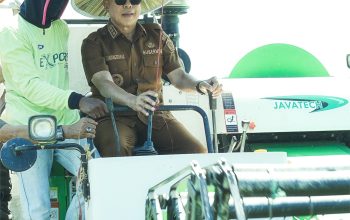 Sultra Siapkan 33 Brigade Pangan untuk Kelola 6.745 Hektare Sawah Baru