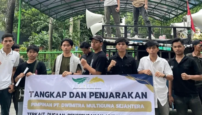 Pembangunan Jetty PT DMS Diduga Rusak Mangrove Lasolo, Mahasiswa Minta KLHK Turun Tangan
