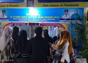 Potensi Sektor Unggas Desa Puulowaru, 1.300 Ayam Kampung Topang Ekonomi 663 Jiwa