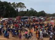 Ratusan Hektare Sawah Terendam, Petani Kolaka Geruduk Kawasan Industri IPIP