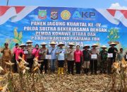 Panen Raya 126 Hektare di Konut, Polda Sultra dan PT AKP Buktikan Sinergi Kuat Jaga Ketahanan Pangan