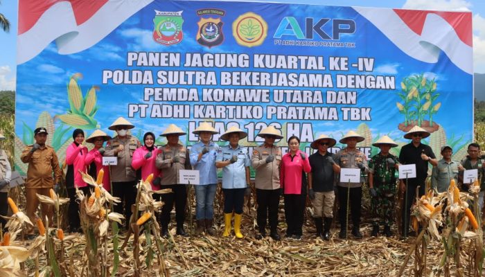 Panen Raya 126 Hektare di Konut, Polda Sultra dan PT AKP Buktikan Sinergi Kuat Jaga Ketahanan Pangan