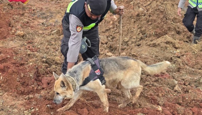 205 Personel Gabungan Polri Sisir Timbunan Material Longsor di Tarukahan dan Cibuyut