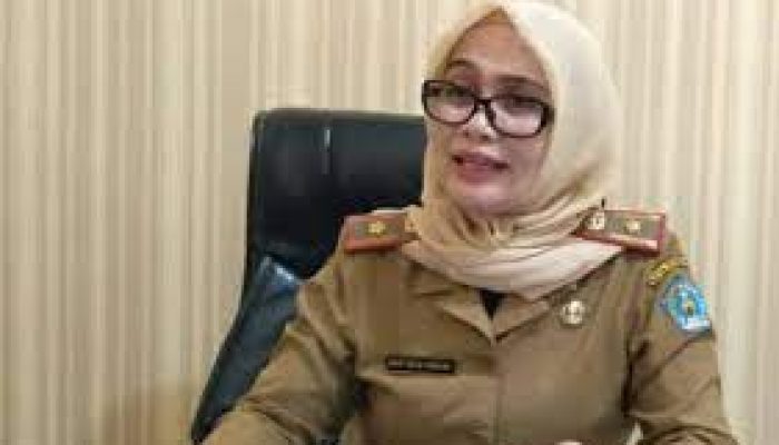 DLHK Kendari Pastikan Pemanfaatan Lahan ASR di Teluk Kendari Penuhi Aspek Tata Ruang dan Hukum