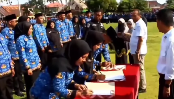 2.795 P3K Paruh Waktu Dilantik di Wakatobi, BPKSDM Akui Banyak Berkas Bermasalah