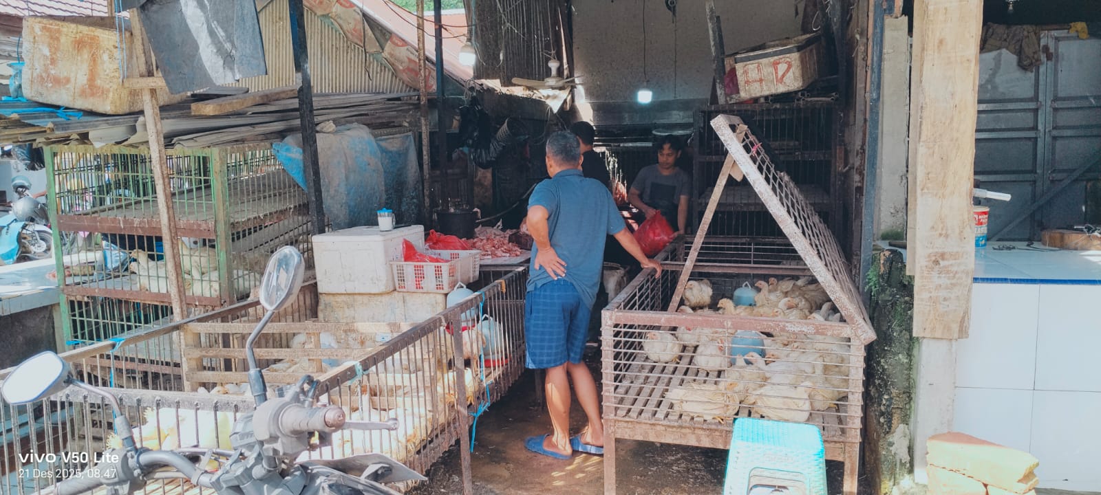 Kenaikan harga telur ayam dan ayam potong di pasar tradisional Kota Kendari
