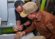 Petani Sultra Makin Sejahtera di Akhir 2025, Saat Harga Jual Petani Berhasil ‘Kalahkan’ Biaya Hidup