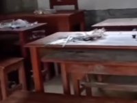 viral wawonii, kotoran manusia di sekolah,