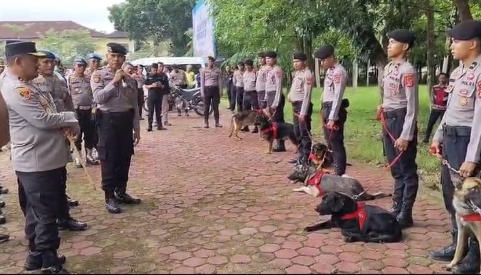Kenalan dengan Arthur, Rambo, Mawar, Legent, dan Mitshu, Tim K-9 Polda Sultra