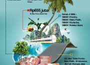 Menepis Narasi ‘Anak Tiri’ di Balik Hamparan Kebun Kakao Kolaka Utara