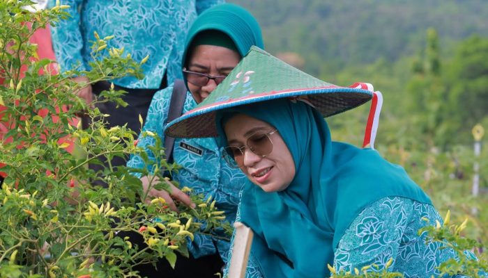 Ny. Arinta Nila Hapsari Pimpin Panen Bersama Kebun PKK Bombana