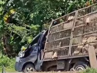 Kecelakaan di Konawe,