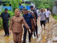 Wali Kota Kendari, Siska Karina Imran,