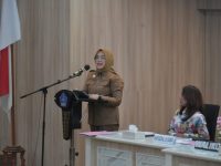 Wali Kota Kendari, Siska Karina Imran