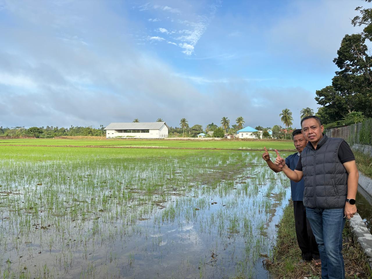  Prof. Muhammad Taufik memantau langsung proses tanam. Monitoring ketat dilakukan untuk memastikan tidak ada pencampuran varietas (rogueing) sehingga label benih yang dihasilkan benar-benar valid.
