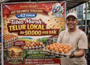 Sambut HUT ke-62 Sultra, Al Hanan Farm dan Perdetiknews Gelar Tebus Murah Telur Rp 50.000 Per Rak