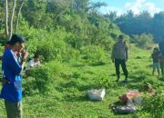 Pencuri Sapi Beraksi di Muna Barat, Sisakan Tulang dan Janin