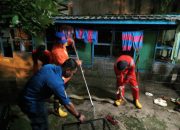 Heboh Ular 4 Meter Masuk Bak Mandi Warga di Kendari, Tim Damkar Turun Tangan