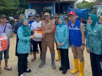 ny arinta andi sumangerukka, pkk sultra