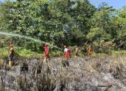 Kebakaran Lahan di Baula Kolaka, Damkar Butuh Hampir 3 Jam Jinakkan Api